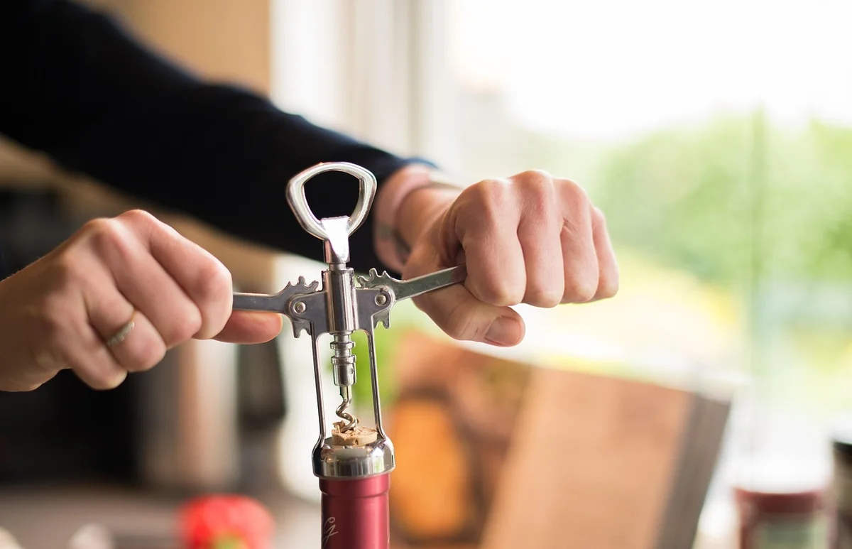 Canalisation obstruée : les solutions maison en résumé