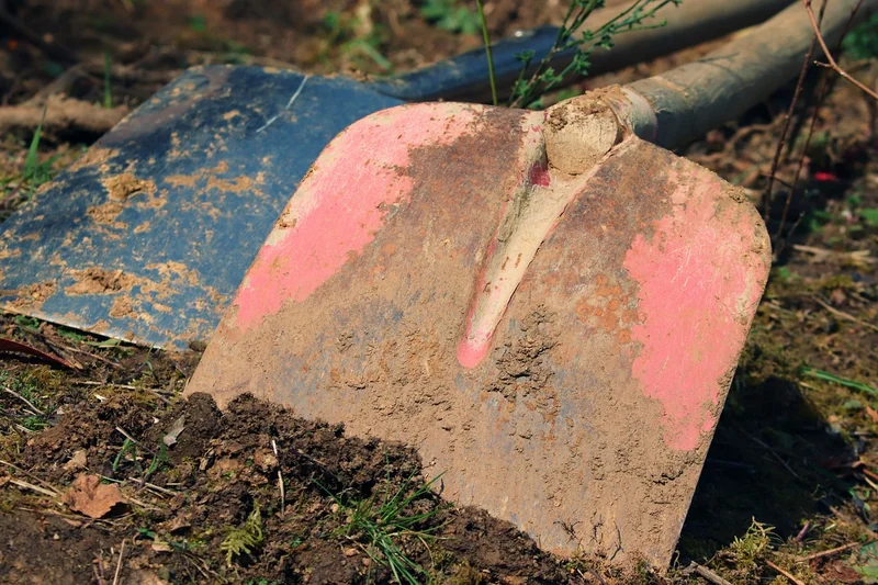 Remplissage et plantation : le secret d'une terre vivante