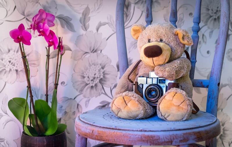 ours en peluche